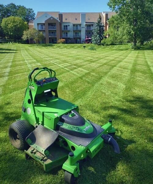 Grass Trimming and Mowing