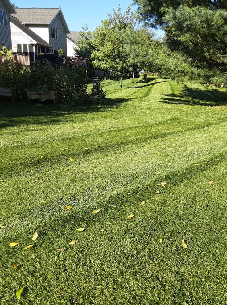 Lawn Care Service
