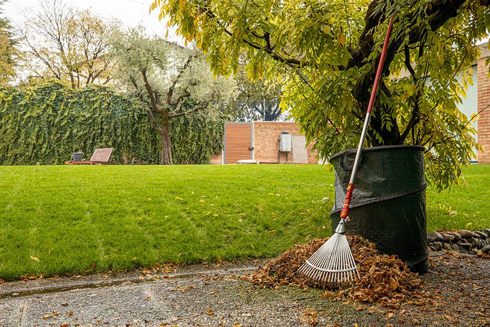 Spring Clean Up