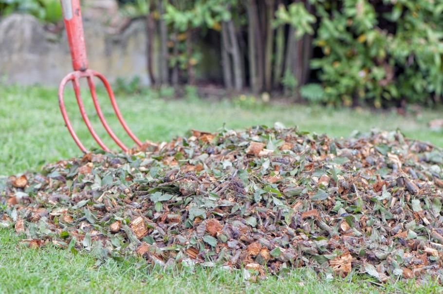 Spring Yard Clean-Up