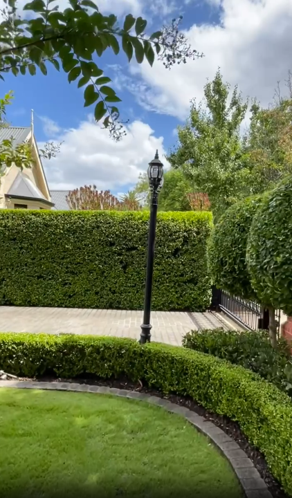 Trimmed Trees